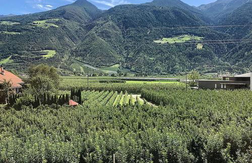 Pixnerhof Chalet Bonita - Foto 25