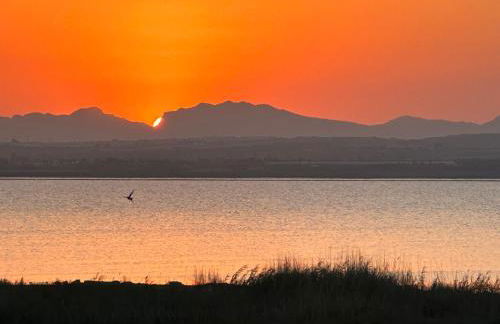Casa Tierra Torrievieja close to the beach Playa del Cura - Foto 34