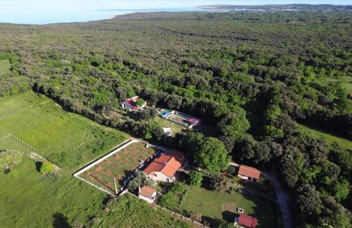 apartmani Nina Šišan - Foto 28