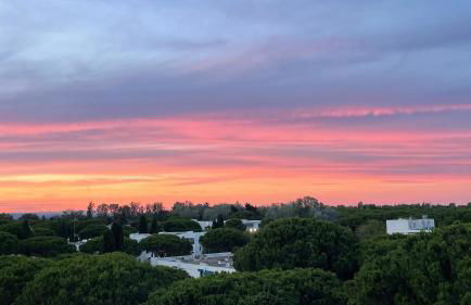 Les pins du Capri - Meublé de tourisme 3 étoiles - Foto 4