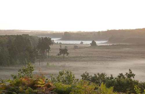 Swift Cottage - Foto 28