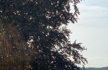 Ferienwohnung "Möltenorter Strand" - Foto 10