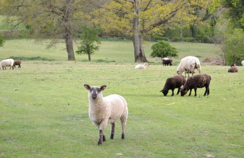 The Peacock Barn - Foto 11