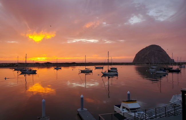 Gray's Inn & Gallery - Foto 52