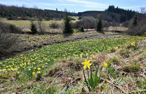 Ferienwohnung Eifel-Life - Photo 24