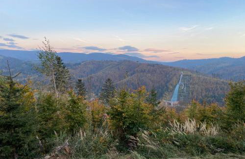 Chata Odskocznia - balia, sauna - Foto 20