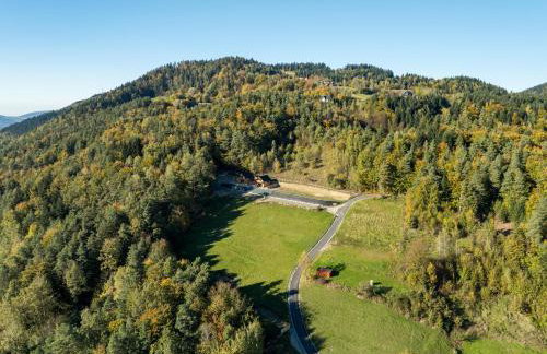 Łysogórska Polana Domki - Foto 8