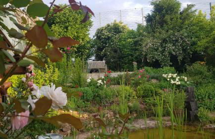 Wohnung mit Sauna, Garten & Schwimmteich - Foto 31