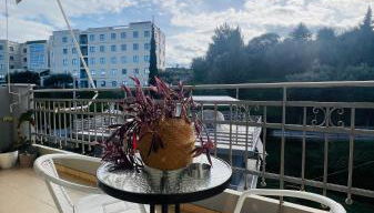 OlympionNest - Photo 3