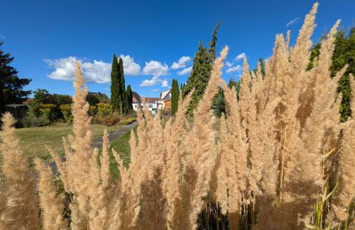 Queen of Safran Ferienhaus - Foto 7