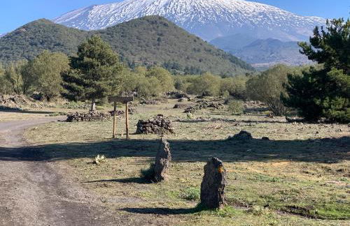 The Mayor's - Foto 32