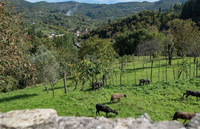 Belvilla by Oyo Castello di Argigliano - Foto 30