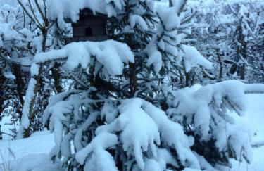 Haus Rosenrot - Foto 32