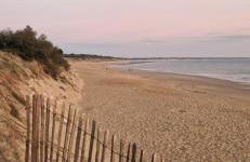 Appartement neuf 39m2 avec balcon à 250m de la plage - Foto 33