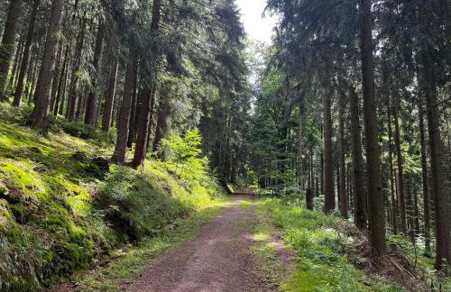 Gästehaus im Erzgebirge - Foto 36