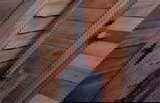 Cabaña Rústica 2 Maravillosa,con Troncos Nativos, con Orilla de Río Trancura - Photo 40