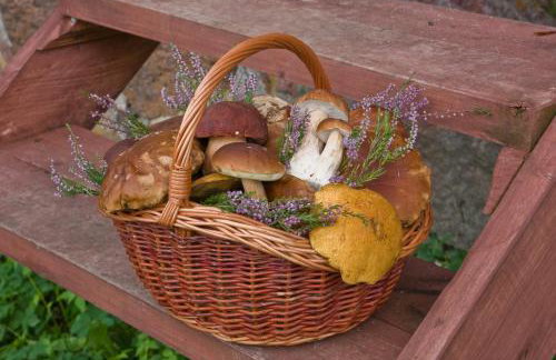 Agroturystyka Sominy - Foto 31