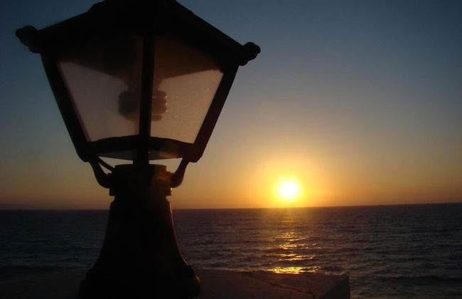 Sun Camero Apartments - Photo 30