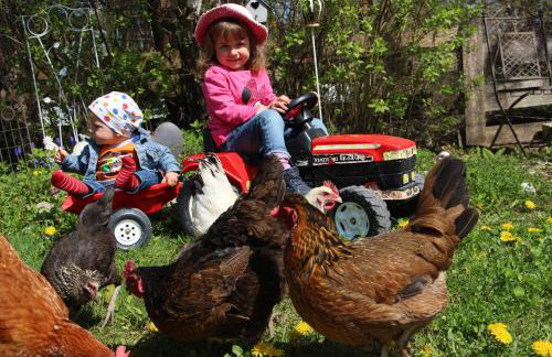 Döllelhof Erding - Foto 42