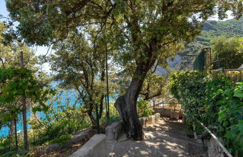 Bluegreen 2 Apartments Amalfi Coast - Foto 42