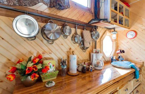 Hillbilly Chic Tiny House Near Nashville with WiFi, Kitchenette, Fire Pit & Trails - Foto 22