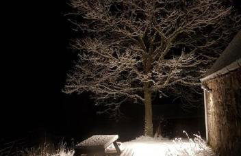 Jakels Rest - Foto 18