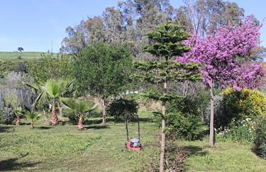 Andalusian Pool Parties Music & Magic - Photo 8