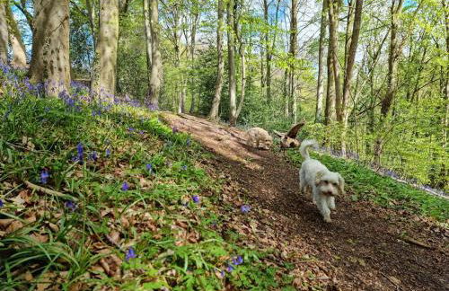 Stylish Town Centre Apartments - Foto 50