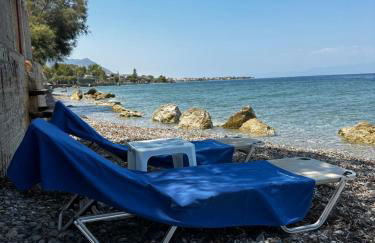 APIJA Studio - Foto 8