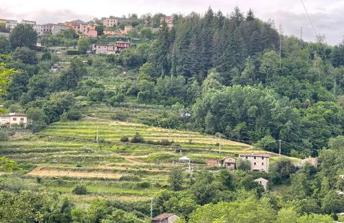 Leon Morto - Foto 52