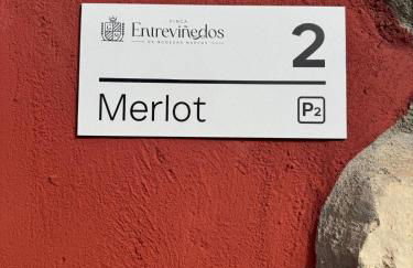 FINCA ENTREVIÑEDOS de Bodegas Marcos - Foto 42