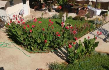 Dream Beloc House Lopud Island - Photo 42