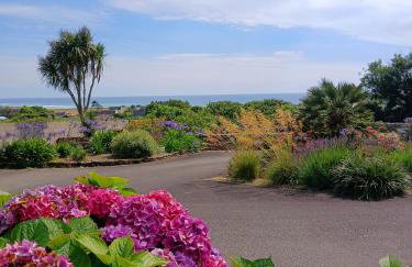Les hortensias de papy - Foto 11