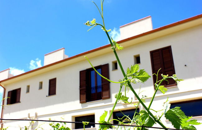 Agriturismo La Casa di Bacco - Foto 20