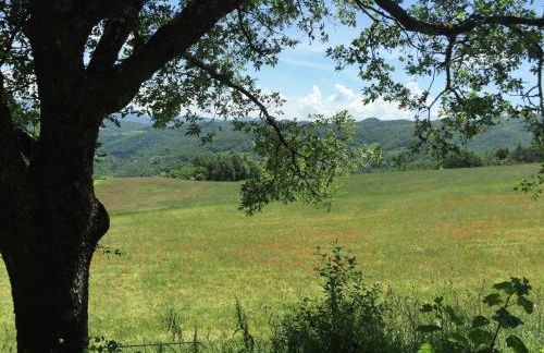 Farmhouse in Apecchio With Swimming Pool, Terrace, Garden - Foto 46