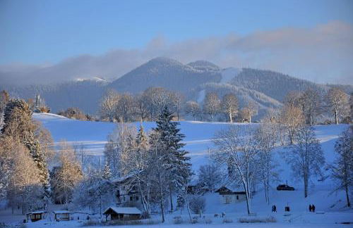 Ammervital - Apartments - Foto 45