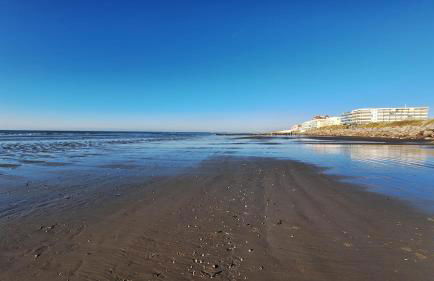 cottage proche du bord de mer et au cœur des dunes - Foto 6