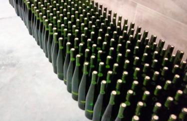 Agroturismo Erlete Goikoa -ESTAMOS EN EL CAMINO DE SANTIAGO -WE ARE ON THE CAMINO DE SANTIAGO- SENDERISMO-RUTAS Y BICICLETA - Photo 18