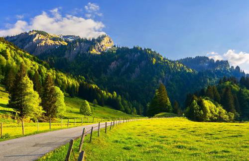 Allgäu Luxury Apartment Berglöwe mit Sauna - Photo 30