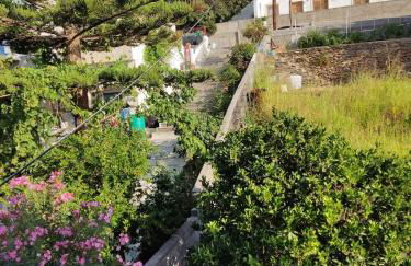 Dimitra's Apartments 4 klm away from Chora - Foto 37