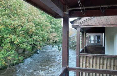 Selah Teifi spectacular river view with games room - Photo 12