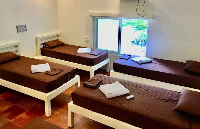 Bamboo Nest - Foto 6