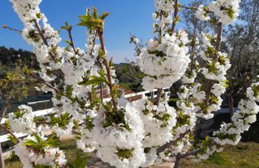 La Casa al Mare - Foto 41