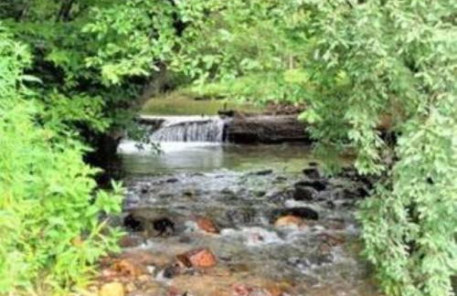 Appalachian Cabin- Trout Stream Firepit Hot Tub - Foto 26