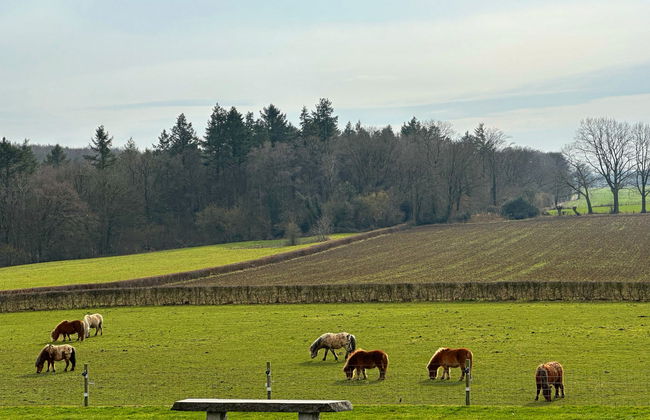 5 bedroom House in Gulpen with garden and terrace - Photo 21