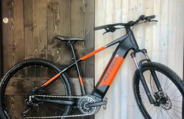 il larice d' oro - Foto 15