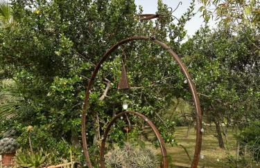 Casa rural, finca rústica con piscina Cas Padrins de Campos, Mallorca - Photo 36