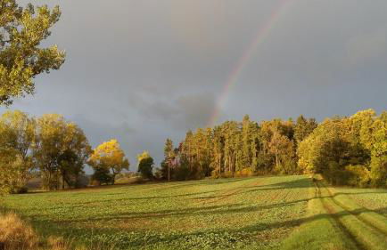 Ferienhof"WaldEsel Rippersroda" - Foto 24