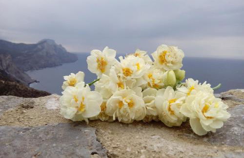 Olympos Archipelagos - Foto 14