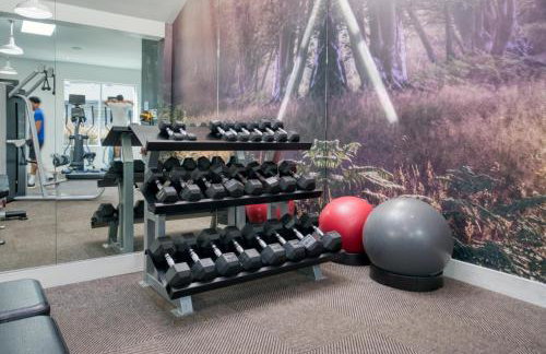 Mountain View 1BR w Pool Gym nr Target TJ SFO-590 - Foto 20